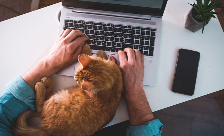 Evcil Hayvan (Pet) Pasaportu Nedir? Nasıl Alınır?