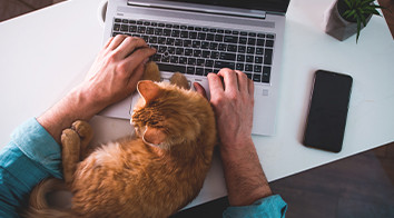 Evcil hayvan pasaportu nasıl alınır? Kedi ve köpek pasaport ücreti, gerekli belgeler, fotoğraf ölçüsü ve yurt dışına çıkış şartları hakkında her şey burada!